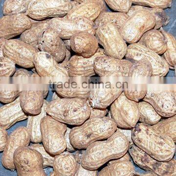 RED PEANUTS MANUFACTURER