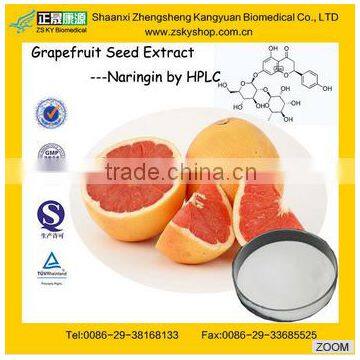 GMP Factory Supply High Quality Orange Extract Citrus paradisi