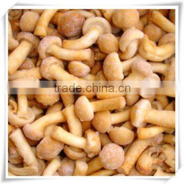 Frozen Nameko photo-2