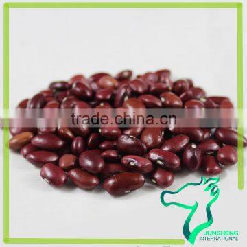 Health Food Natural Low Price Small Red Kidney Beans For Sprouting