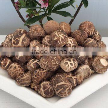 Free shipping best prices for nature organic dried flower shiitake mushroom no stem