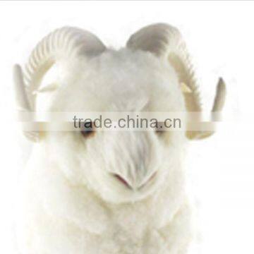 Realistic Taxidermy Replica Figurine Life Size Artificial Goat Model photo-3