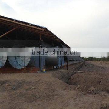 Environmental Controlled Automatic Prefabricated Poultry House for Broiler and Layer photo-4