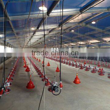 Light Steel Chicken House photo-6