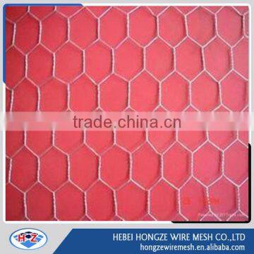 hexagonal wire mesh/hexagonal wire netting/chicken wire