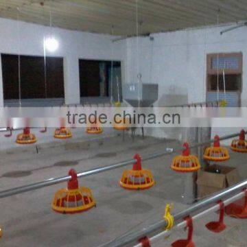 Complete Controlled Automatic Poultry Chicken Farm Equipment for Broiler photo-2