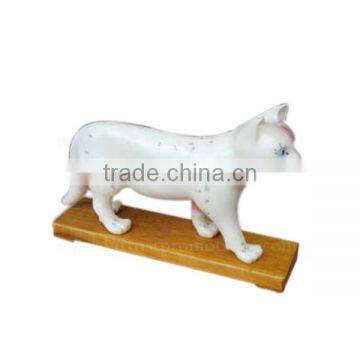 Cat Biological Teaching Animal Anatomical Acupuncture Model photo-2