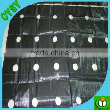 PP Ground Cover, Agricultural Greenhouse Used Woven Weed Mat photo-6