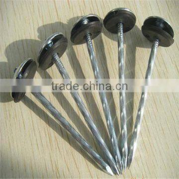 galvanized umbrella head roofing nail