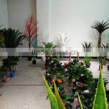 China Factory Supply Artificial Plants photo-5