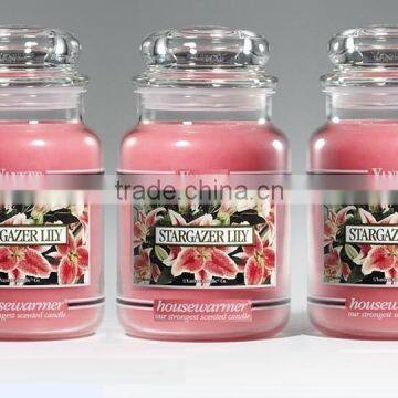 800ml 750ml 500ml 350ml Glass Storage Jar Airtight Canister Glass Candle Jar With Mushroom Lid photo-3