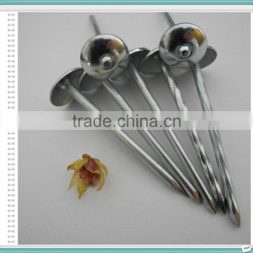 Umbrella Galvanized Roofing Twist Nail