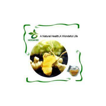 Turmeric Root Extract