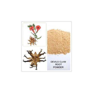 devil\'s claw extract,devil\'s claw extract harpagoside,harpagoside,harpagoside powder