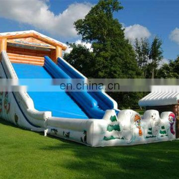 high quality inflatable hippo slide giant inflatable water slide for adult