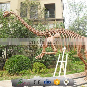 KAWAH Museum Exhibition Display Fake Fiberglass Dinosaur Bone photo-2