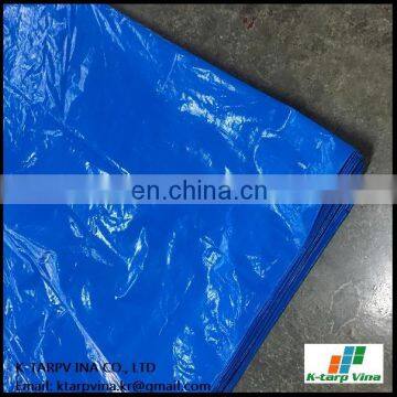 Blue Sheet #3000, Heavy Duty PE Tarp, Durable and Cheap Tarp, Japan Market