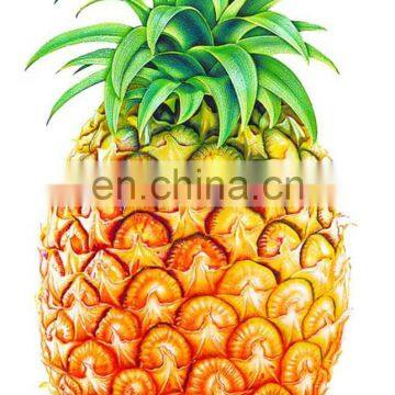 Automatic Fruit Peeling Machine Industrial Pineapple Chips Making Machine photo-4