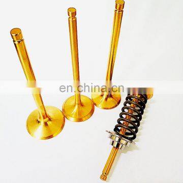 Fuel-efficient Vehicles Parts Germany Engine Valve for Audi V6 2.4 2.8FSI 3.0TFSI 3.2FSI a4 a6 1.8T 1.9 TDI 3.0 TFSI GTI photo-2