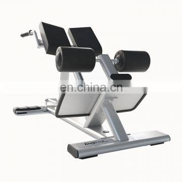 Dhz Fitness Commercial Use Back Extension Bench Machine photo-4