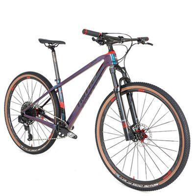 China Warrior 27.5 29er MTB Велосипеды для горных поездок легкого веса из углеродного волокна для мужчин