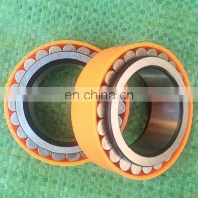 Gearbox Bearing RSL183005 Double Row Full Complement Roller Bearing RSL 183005