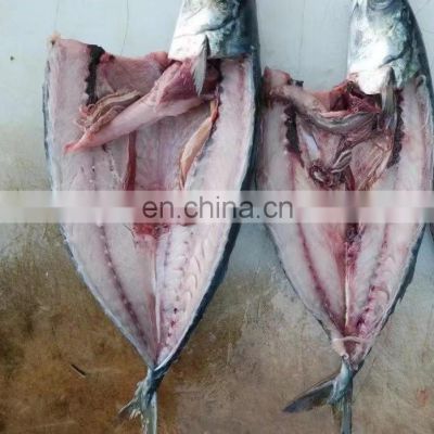 Wholesale 300/500g Pacific mackerel for human consumption