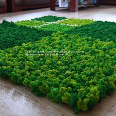 Factory wholesale high quality Interior office artificial reindeer moss panel wall decoration