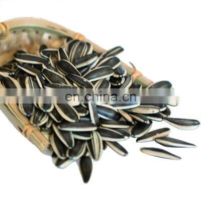 Salted Sunflower Seeds for South Africa photo-3