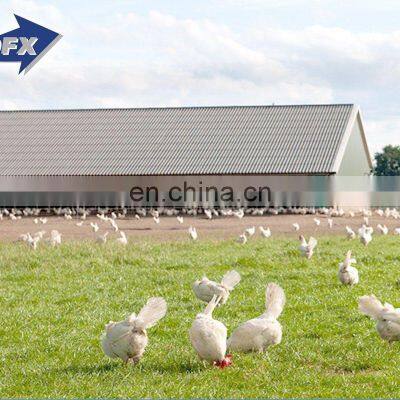 Prefabricated Steel Structure/warehouse/workshop/hall/hangar photo-5