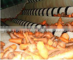 Not Contain Any Preservatives Additives of Carrot Juice Making Machine photo-2