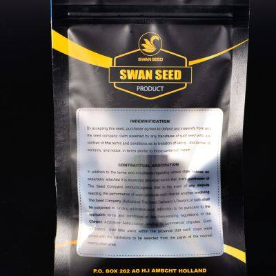 Factory Wholesale Customized Different Size Empty Plastic Bags photo-2