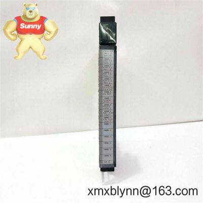 GE Fanuc IC697ALG440 – 90-70 Analog Input Expansion Module for Reliable Voltage/current Signal Acquisition photo-3