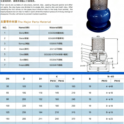 JIS/ANSI/DIN Foot Valve Cast Iron GGG50 Ductile Iron Flange Stainless Steel Filter Strainer Water Pump photo-6
