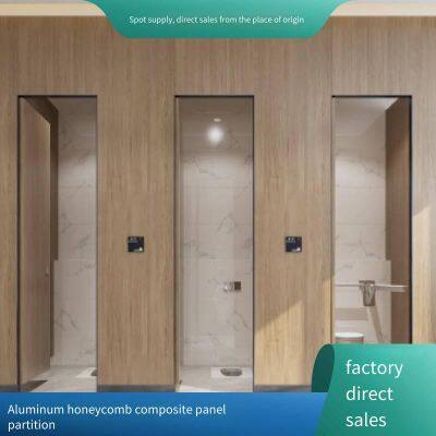 Разделительные панели для общественных туалетов в госпитальном отеле Zhongjiang Dekang Hospital. Панели нового поколения с антибактериальным эффектом в цвет дерева. Водонепроницаемые панели высокой плотности марки Sanlihe