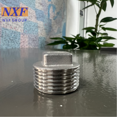NXF UNS N10276 2.4819/NiMo16Cr15W/C276 OD DN15-1200 Pressure Class3000-9000 Nickel Alloy Forged Fitting Square Head Plug
