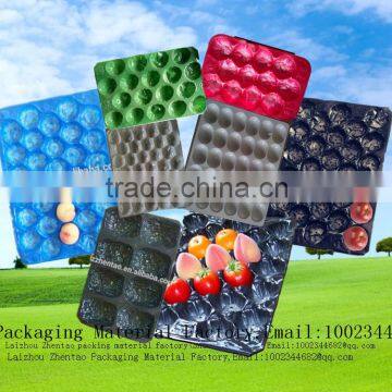 Customized compartment plastic blister packaging tray for fruit and vegetable packing