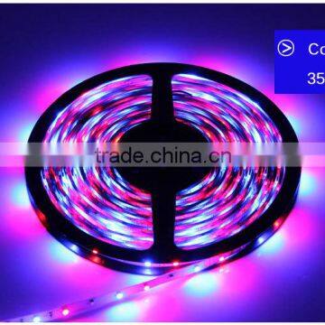 RGB LED Strip 5M 300Led 3528 SMD Fleible Light Led Tape Ribbon + 12V 2A Power Supply Adapter Home Decoration LED Lamps photo-6