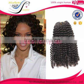 Wholesale Top quality 100% brazilian human hair kinky curly clip in hair extension