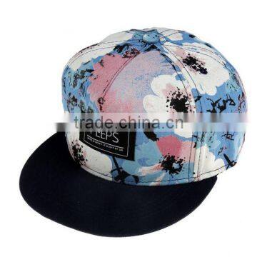 BSH008A Fashion painting baseball caps New sport hat with embroidery