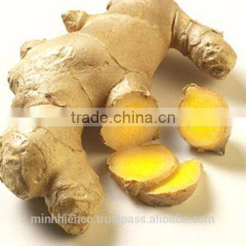 Fresh Ginger photo-3