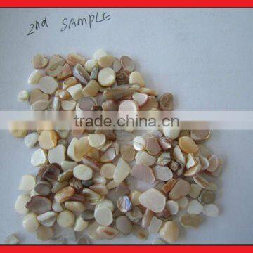 Polished sea shell granule