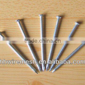 common nails factory (supplier)