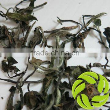 AAAAA sweet slimming tea shou mei white tea