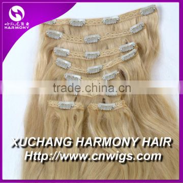 Quality Remy clip in hair extension for european hair market