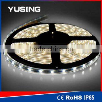 2 Years Warranty CE 12V 24V 5000K SMD 5050 LED Strip Lighting