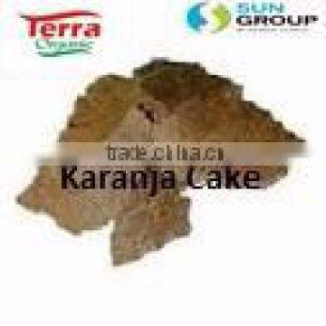 Karanja Seed Kernel photo-2