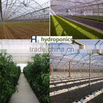 Agricultural Greenhouses for Soilless Hydroponics NFT Systems for Tropical and Desert Areas