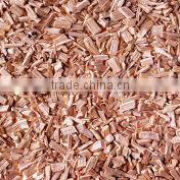 light yellow acacia chips for pulp paper