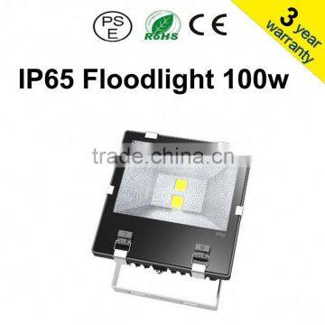 COB 100W Led Floodlight MeanWell Bridgelux